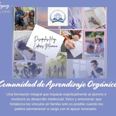 Comunidad De Aprendizaje Organico